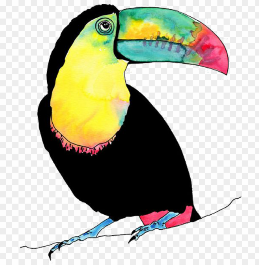 toucan, summer, watercolor, sea, dogs, palm, background