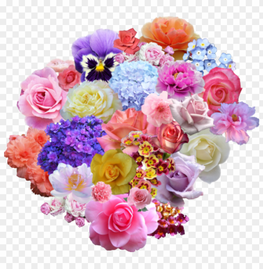 flowers, vibrant blooms, colorful petals, floral arrangement, garden flowers, spring flowers, decorative flowers