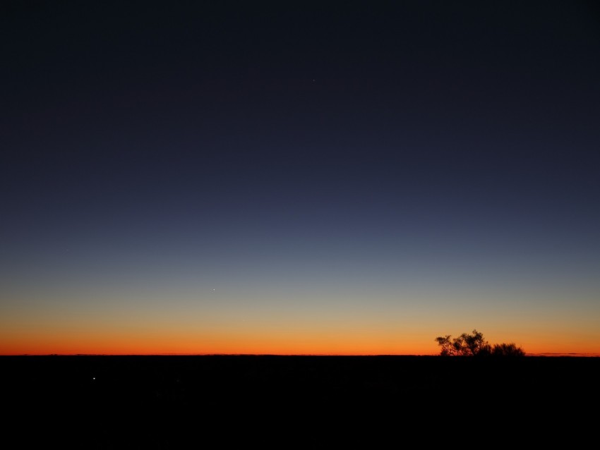 twilight, dark, bushes, sky, horizon, gradient