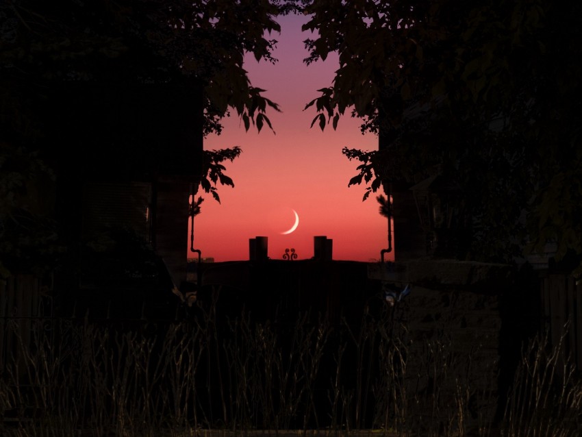 twilight, dark, moon, sky, branches