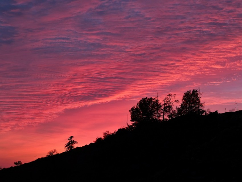 Twilight Trees Outlines Hill Sky Clouds Background