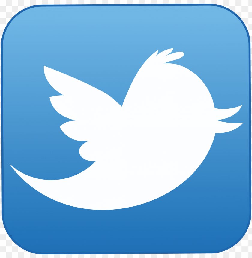 twitter, logo, png, image