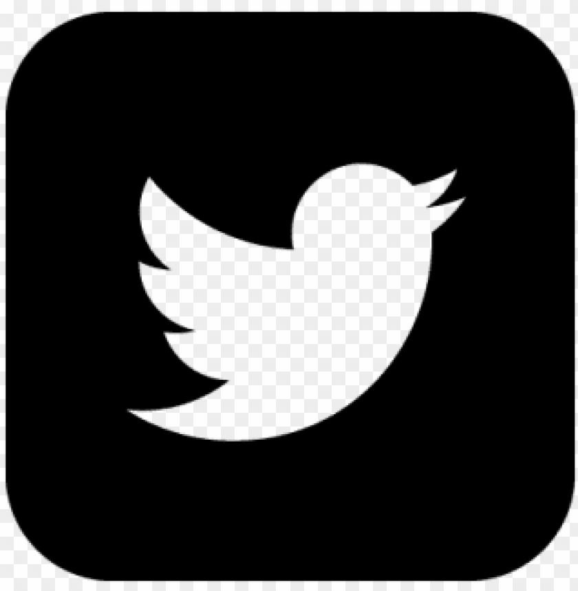 logo instagram facebook twitter, facebook instagram twitter, facebook twitter logo, twitter bird logo, twitter, twitter logo white