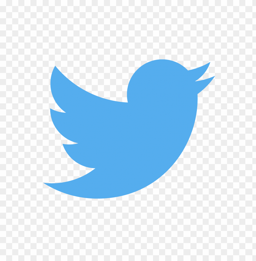 twitter, logo, png