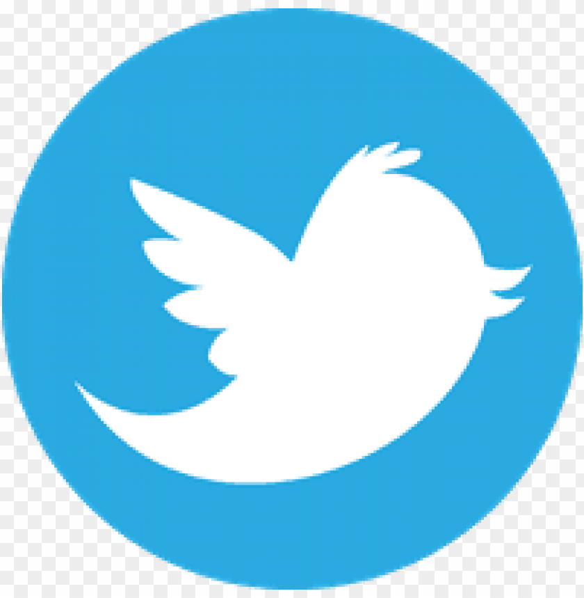 twitter high,twitter,bird, new, single, twitter n | n search engine#93,twitter bird.png