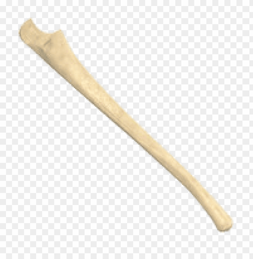 people, bones of the body, ulna bone, 