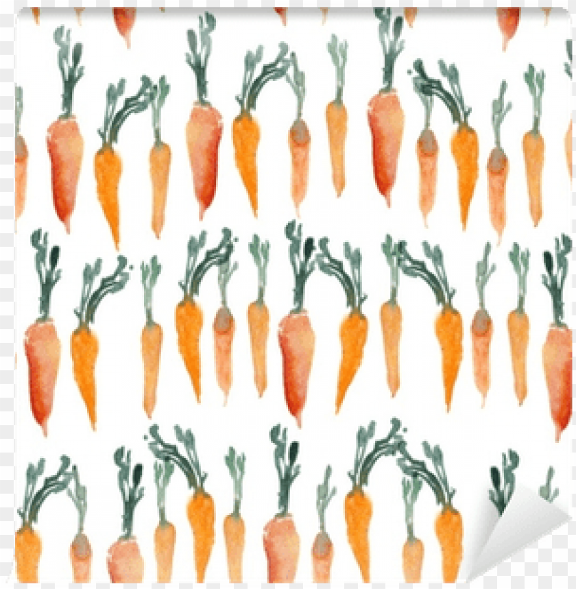 carrot, vegetable, organic, fresh produce, healthy snacks, garden produce, orange vegetables