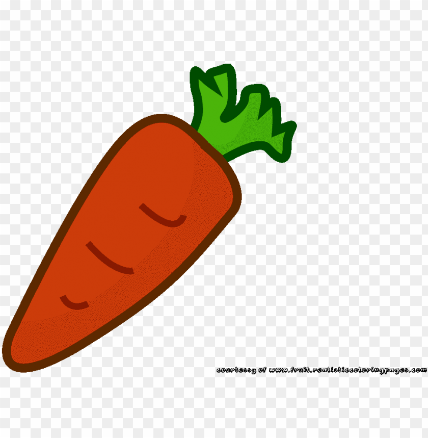 carrot