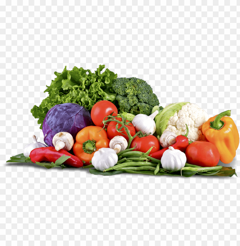 raw logo, library icon, vegetables, fruits and vegetables