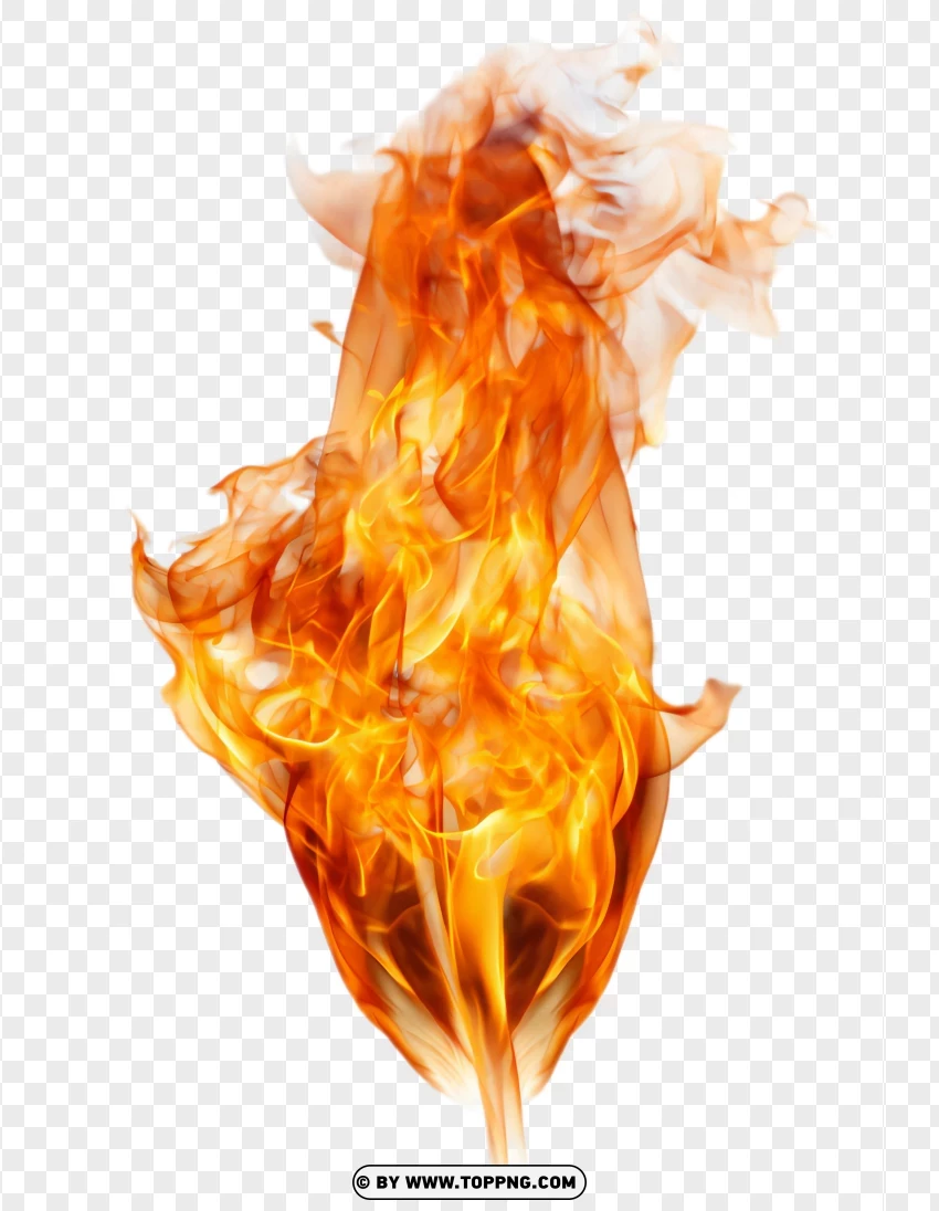 Vertical fire flame burning upwards, realistic design, PNG image with transparent background