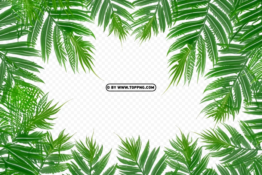 Leaves Frame, Leaves Frame Transparent PNG, Leaves Frame PNG, Nature Frame PNG, Nature Frame Transparent PNG, Nature Frame, Forest Frame PNG