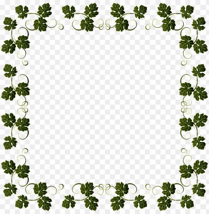 vine border frame