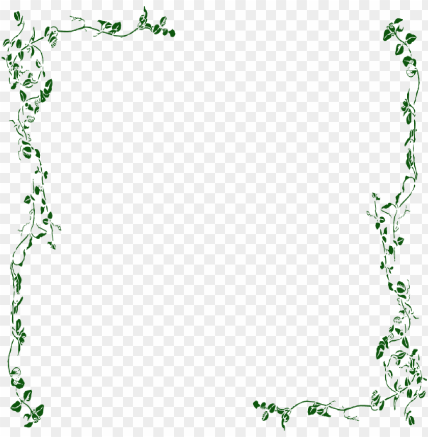 wine, vine, floral frame, grape vines, flowers, floral vines, floral pattern