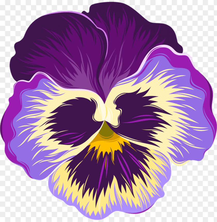 violet flower