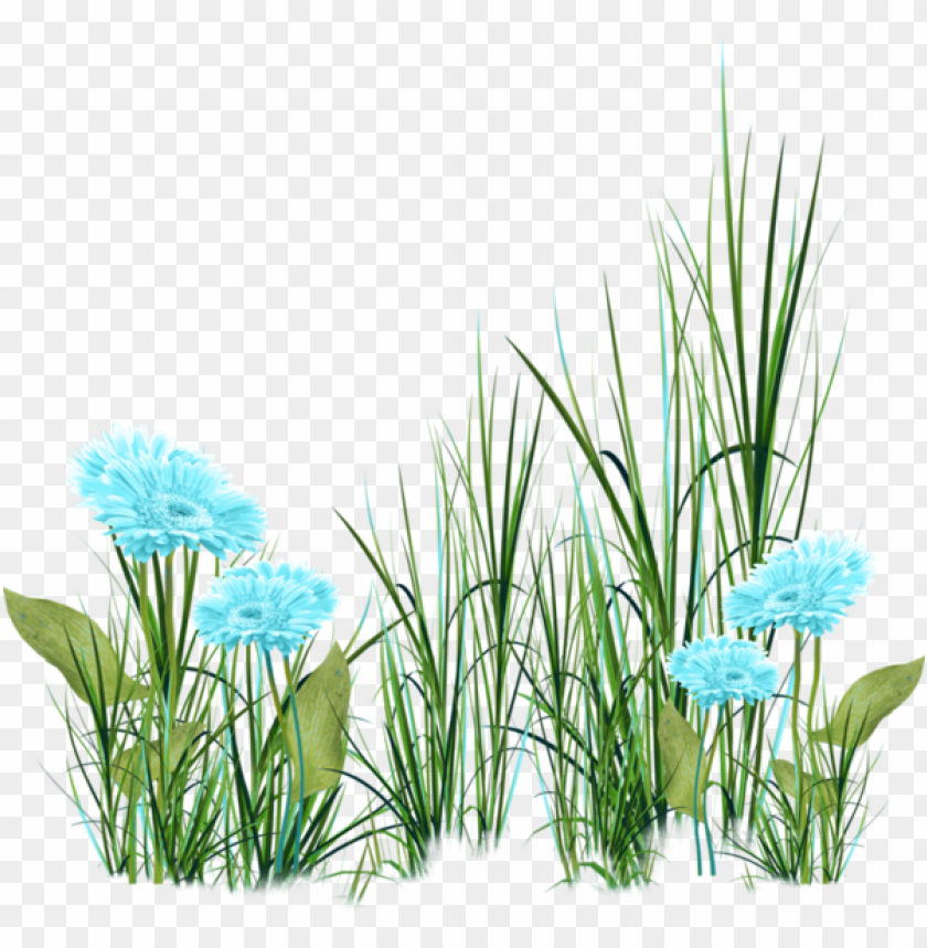 Visit - Imagens De Grama E Flores PNG Transparent Background