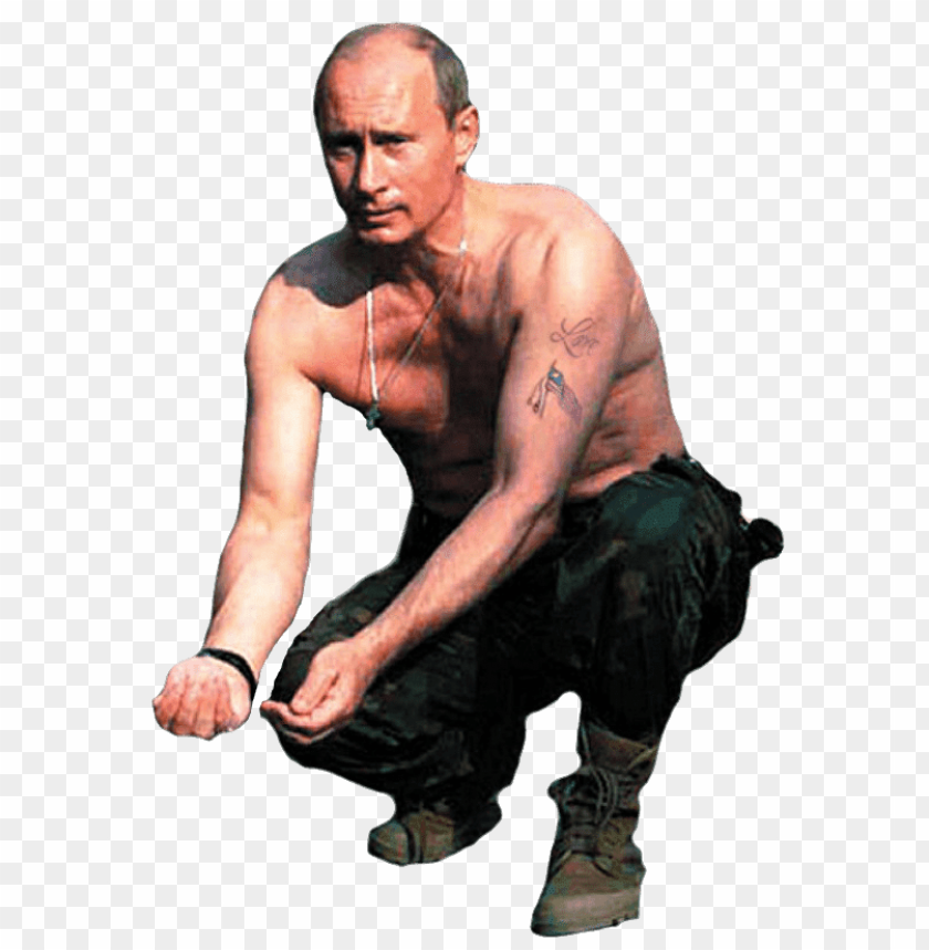 
vladimir putin
, 
vladimir
, 
putin
, 
vladimir vladimirovich putin
, 
president of russia
