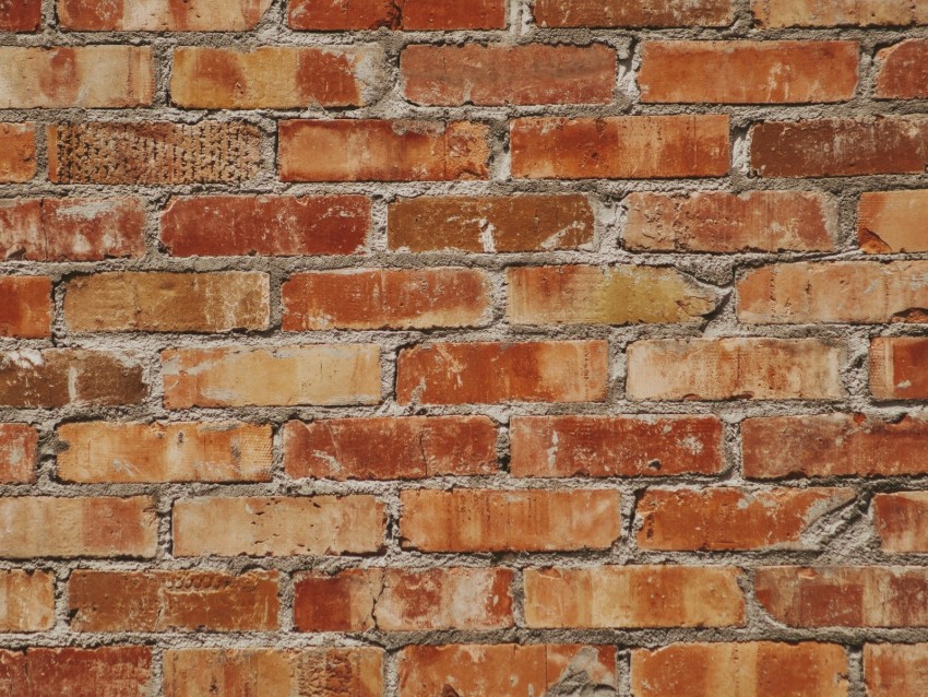 Wall Bricks Texture Surface Brick Background