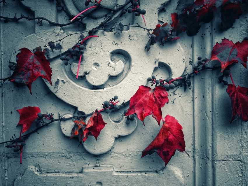 wall, grapes, leaves, red, white