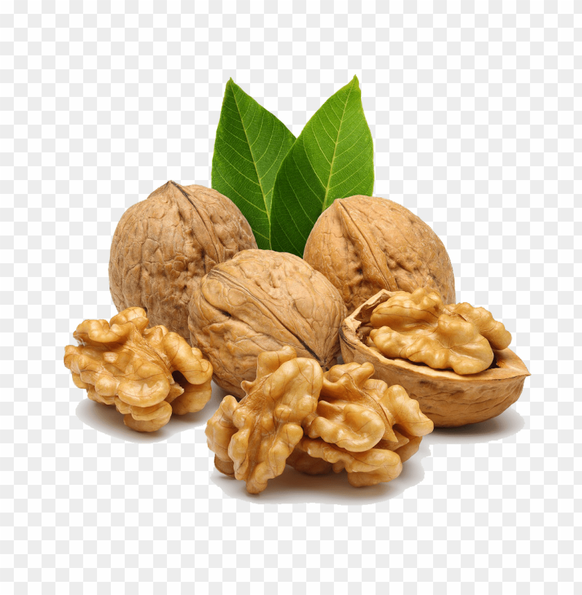 
walnut
, 
juglans regia
, 
seed of a drupe
, 
drupaceous nut
, 
botanical nut
