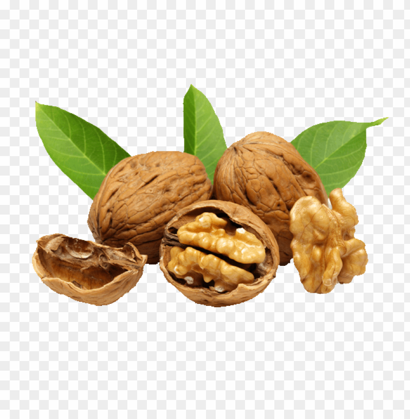 
walnut
, 
juglans regia
, 
seed of a drupe
, 
drupaceous nut
, 
botanical nut
