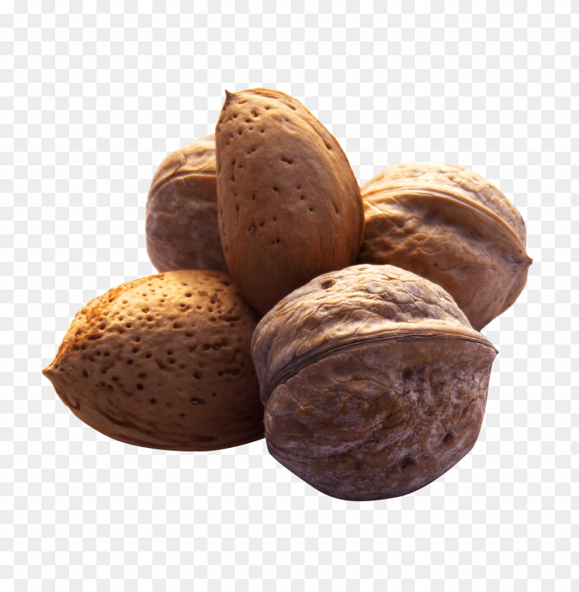 
walnut
, 
juglans regia
, 
seed of a drupe
, 
drupaceous nut
, 
botanical nut
