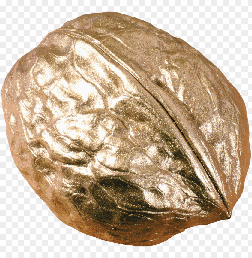 
walnut
, 
juglans regia
, 
seed of a drupe
, 
drupaceous nut
, 
botanical nut
