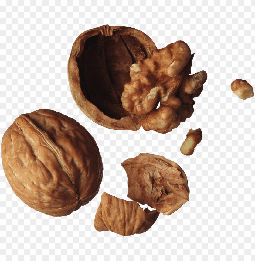 
walnut
, 
juglans regia
, 
seed of a drupe
, 
drupaceous nut
, 
botanical nut
