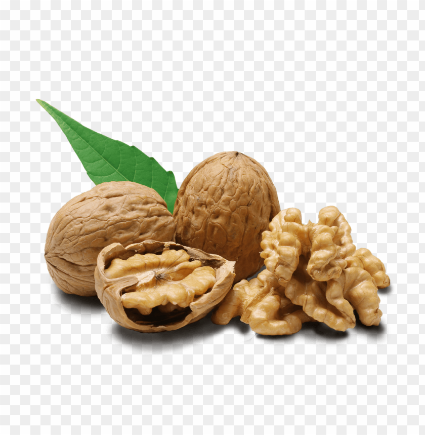 
walnut
, 
juglans regia
, 
seed of a drupe
, 
drupaceous nut
, 
botanical nut
