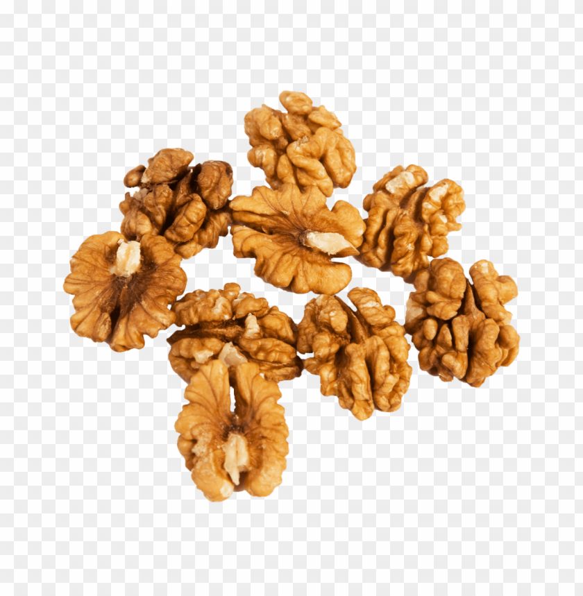 
walnut
, 
juglans regia
, 
seed of a drupe
, 
drupaceous nut
, 
botanical nut
