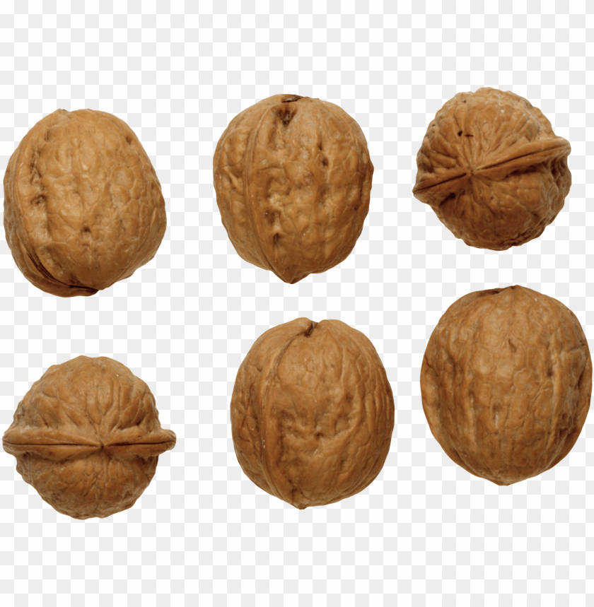 
walnut
, 
juglans regia
, 
seed of a drupe
, 
drupaceous nut
, 
botanical nut
