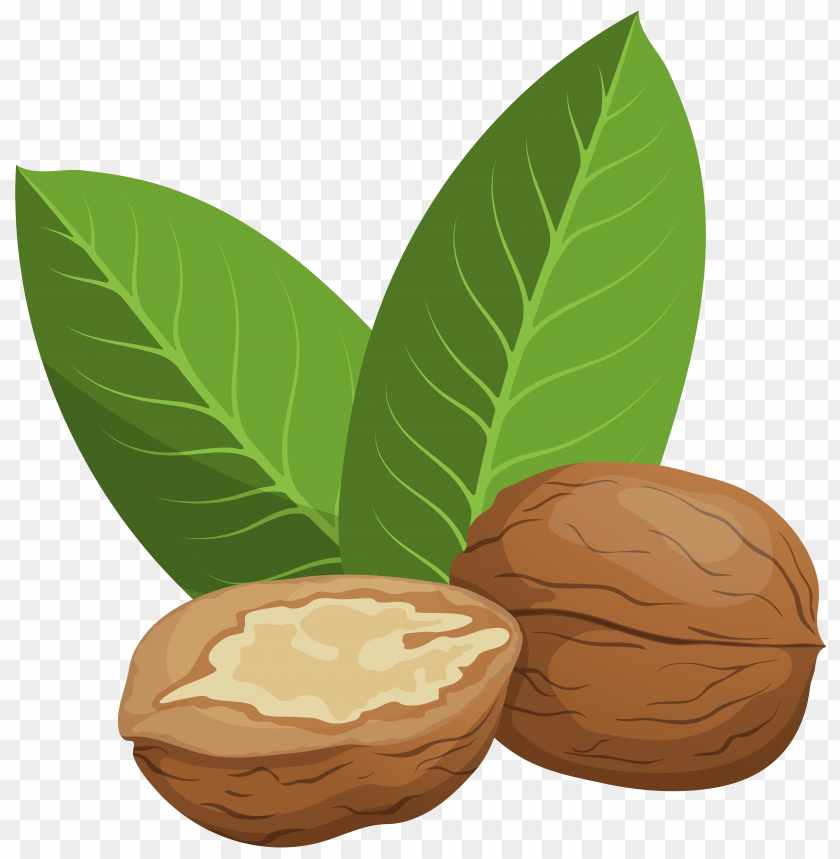 walnuts