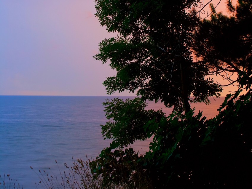 water, coast, trees, horizon, landscape