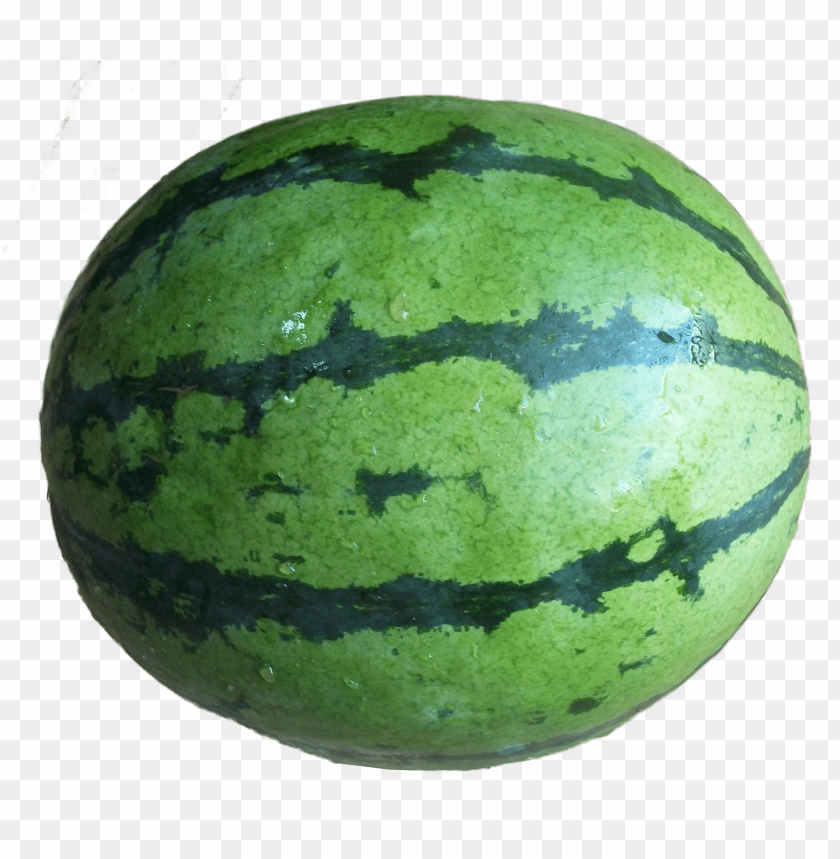 
melon
, 
full
, 
sweet
, 
fresh
, 
fruit
, 
whole
, 
food
