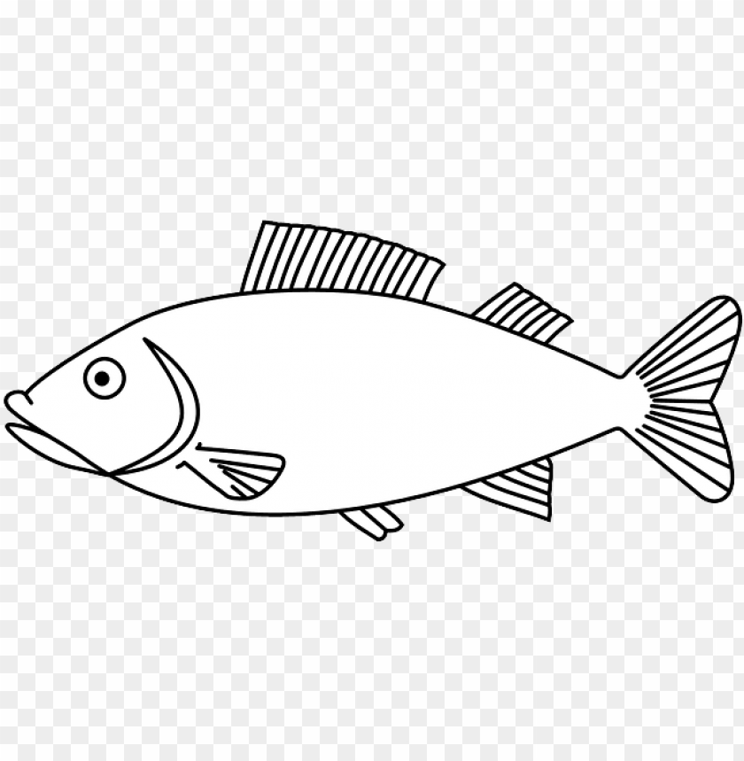 fish, template, color, paper, tuna, blank, coloring page