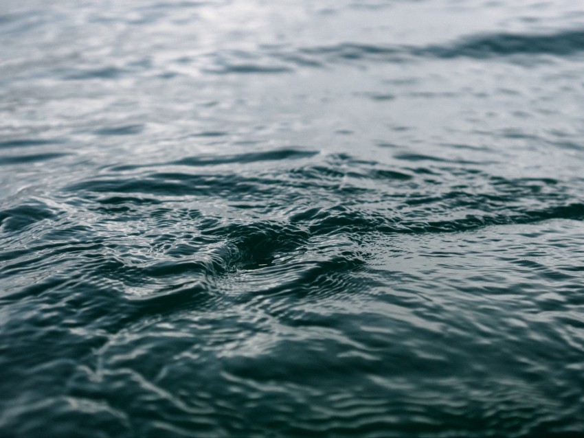 Water Ripples Surface Blur Background