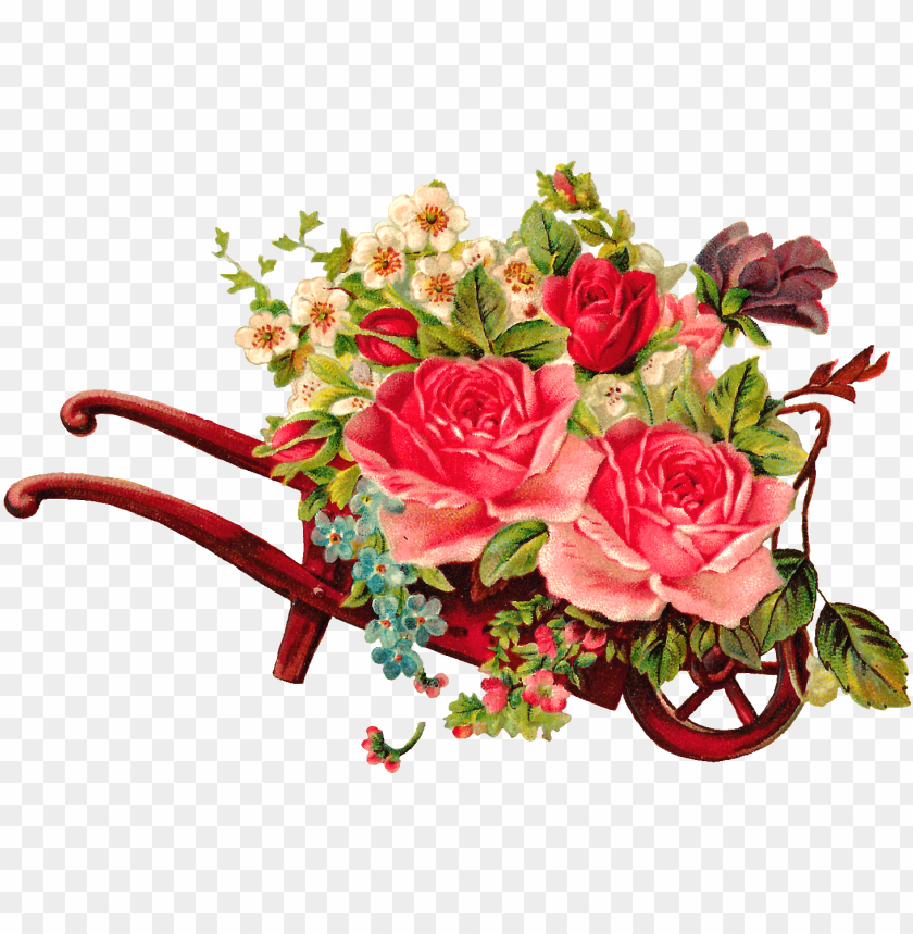 flowers, wheelbarrow, roses, garden, nature, botanical, blooms