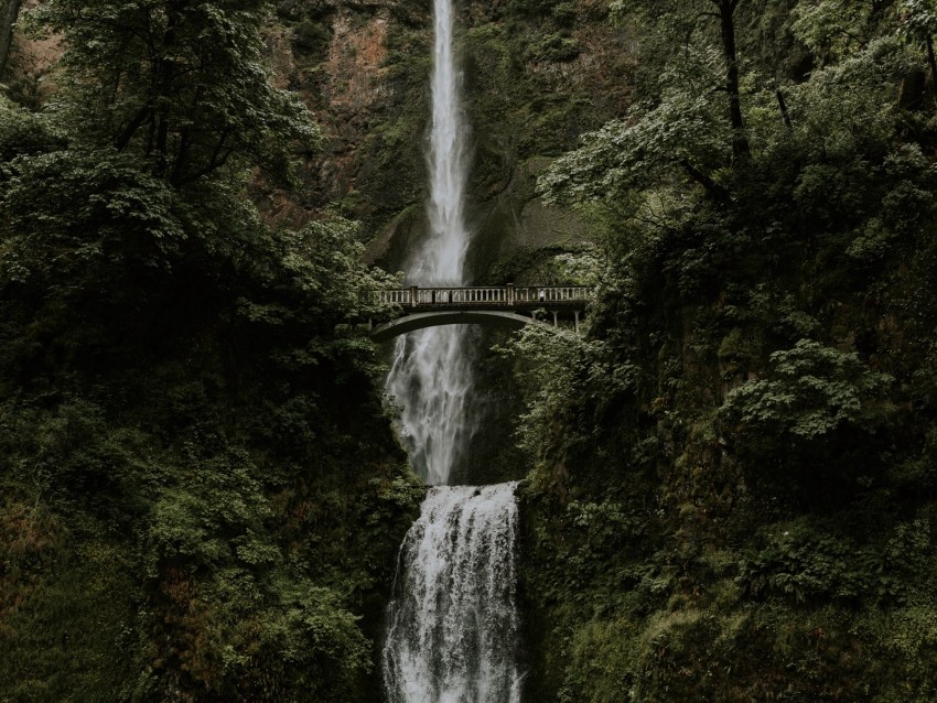 Waterfall Cliff Bridge Trees Water Background