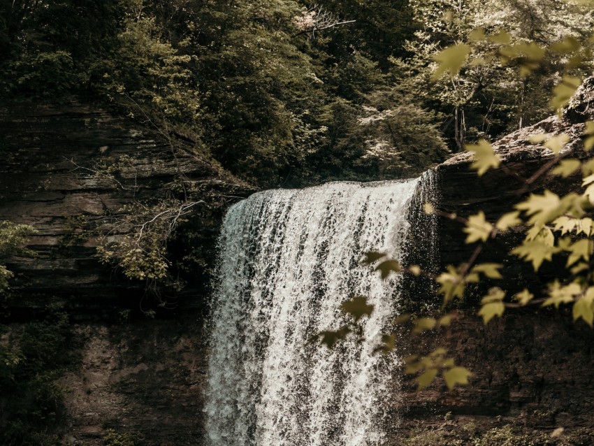 waterfall, cliff, stream, forest, nature