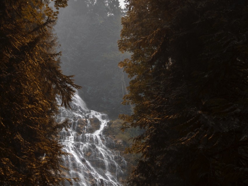 waterfall, flow, fog, branches, trees