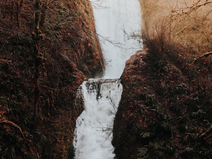 waterfall, flow, water, grass, branches, autumn