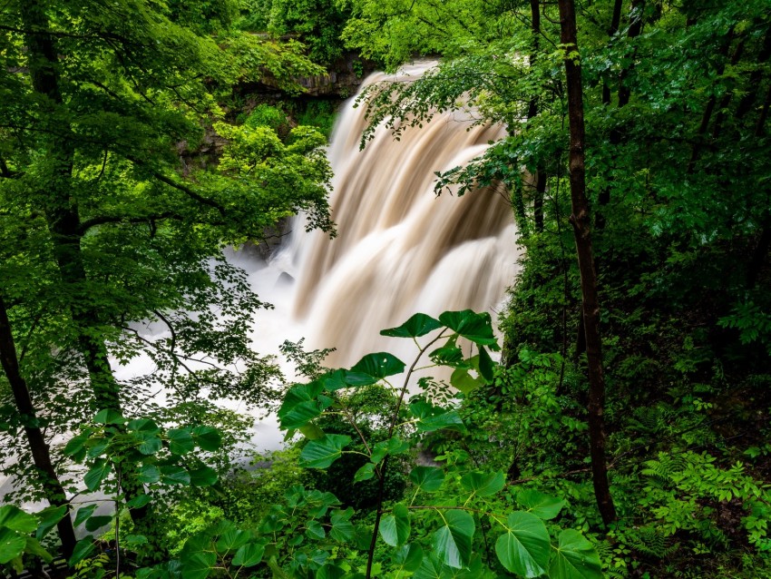 Waterfall Forest Trees Bushes Greens Background