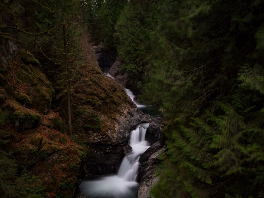 waterfall, river, flow, trees, forest