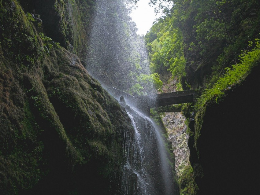 Waterfall Rocks Trees Vegetation Forest Background