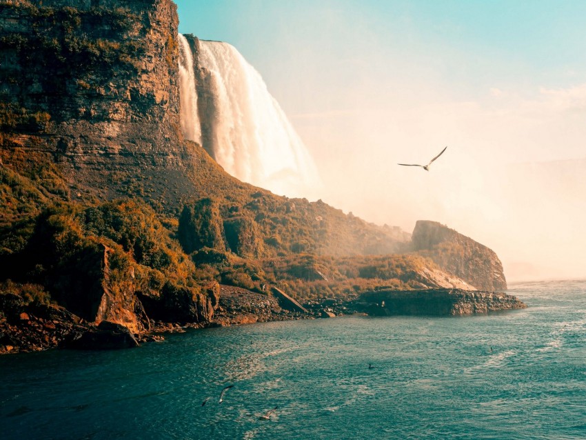 waterfall, sea, rocks, birds, coast