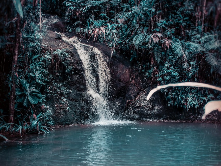 waterfall, stream, forest, jungle, tropical, spray, stones