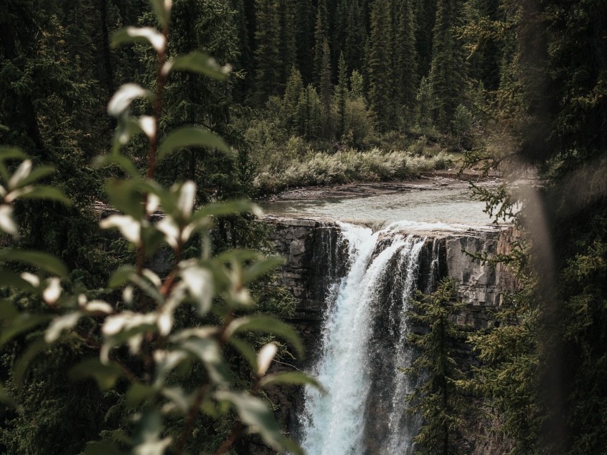 waterfall, trees, branches, course, cliff