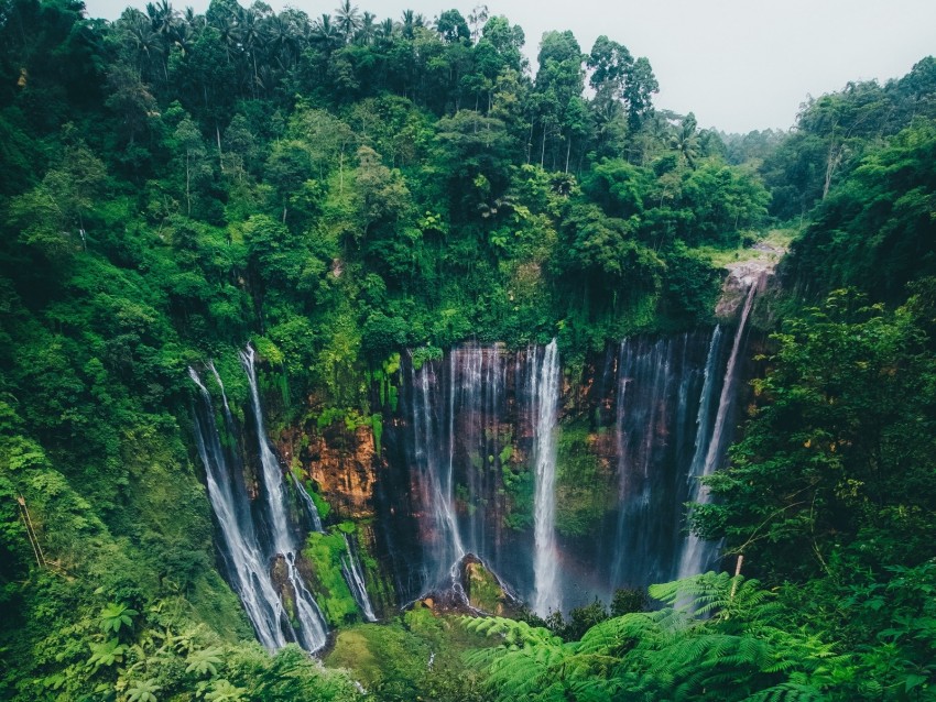 waterfall, trees, forest, green, current, cliff