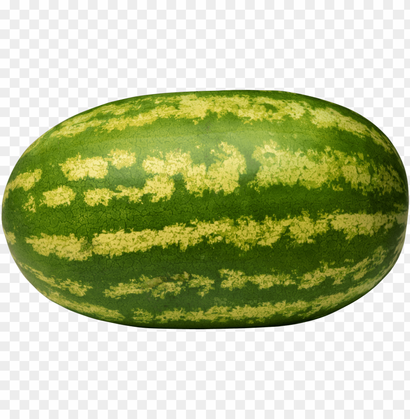 
watermelon
, 
hairy pinnately-lobed leaves
, 
yellow flowers
, 
large
, 
green
, 
yellow spots
, 
sweet
