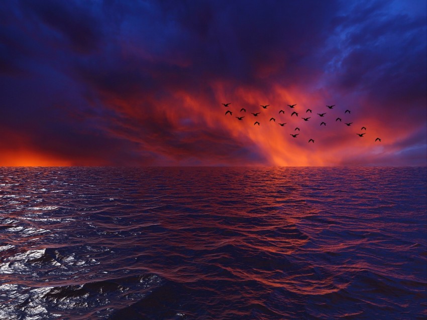 Waves Sky Birds Horizon Sunset Sea Clouds Flock Background