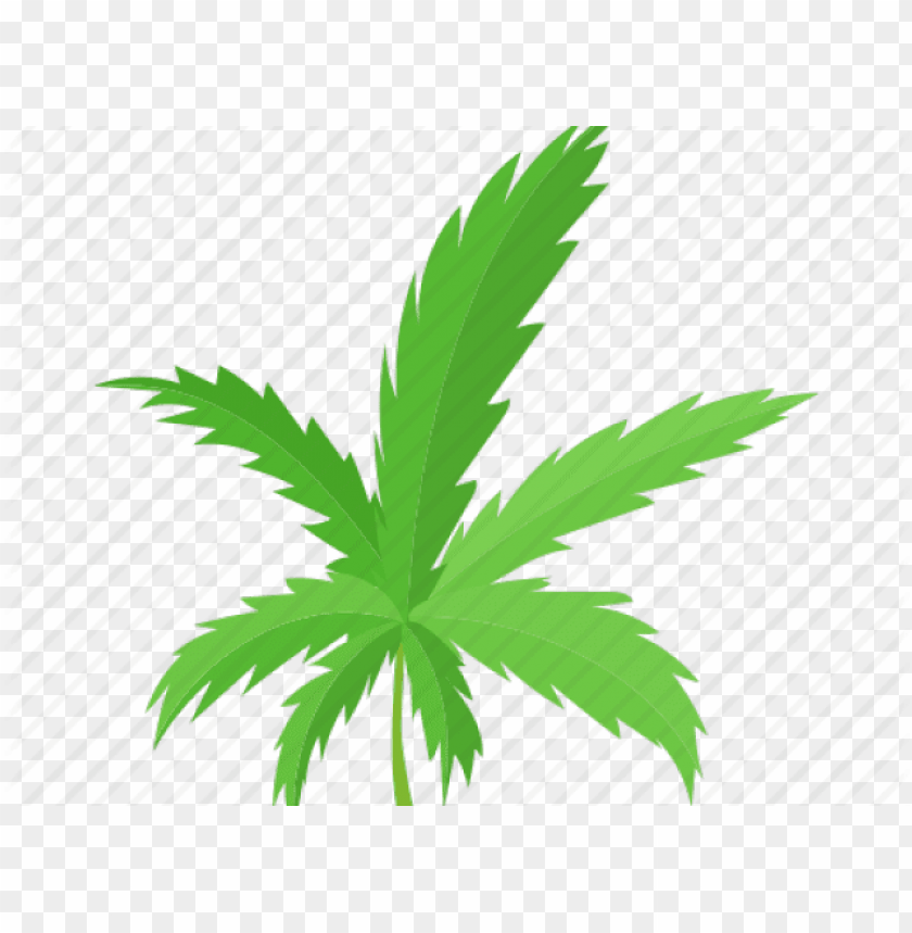 marijuana, people, tree, comic, plant, animal, leaves